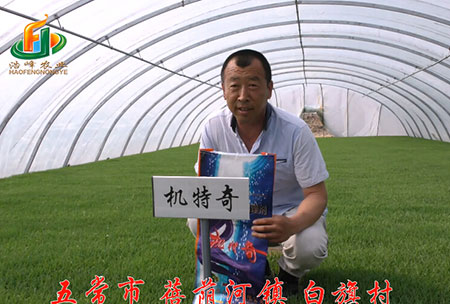 五常市-揹廕河-用戶迴訪視頻