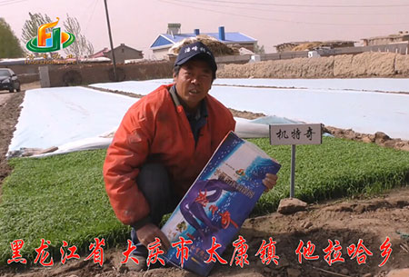 大慶-太康鎮-用戶迴訪視頻