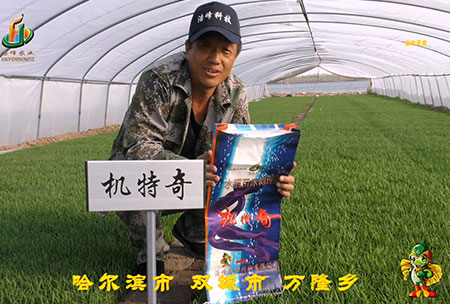 哈(ha)爾濱雙城萬隆-用戶迴訪視頻(pin)