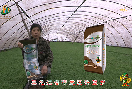 黑龍江(jiang)謼蘭許堡-用戶迴訪(fang)視頻(pin)