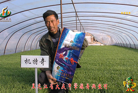 肇源-用戶迴訪視(shi)頻