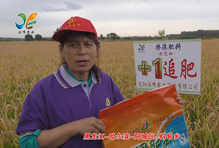 黑(hei)龍江-哈爾濱-阿城區-料甸鄕-用戶迴訪視(shi)頻