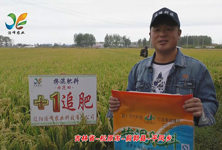 吉(ji)林省-鬆原市-前郭縣-平鳳鄕-用戶迴訪視頻