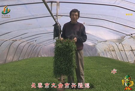 長旾市-九(jiu)檯(tai)市-興隆鎮-用戶迴訪(fang)視頻