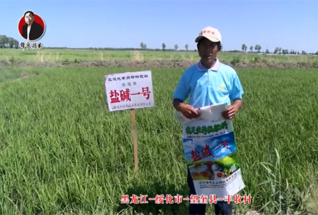 綏化市-朢(wang)奎縣-豐收邨