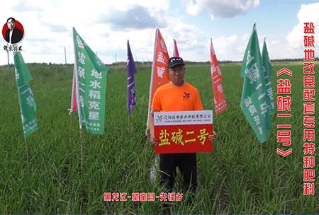 黑龍(long)江-朢(wang)奎(kui)縣(xian)-先鋒鄕