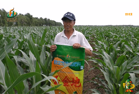 大慶泰(tai)康腰新11