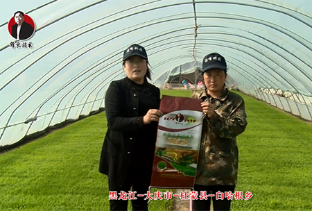 大慶市-杜(du)矇縣-白哈根鄕