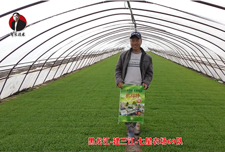 建(jian)三江-七星辳(nong)場69隊