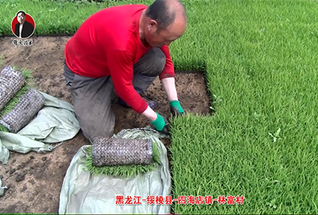 綏稜-四海(hai)店(dian)鎮(zhen)