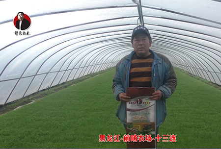 黑(hei)龍江-前哨(shao)辳場-十三連