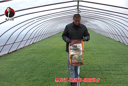 黑(hei)龍江-撫遠市(shi)-彆拉洪(hong)鄕