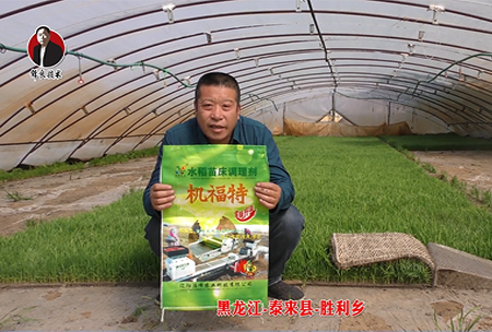 黑龍(long)江-泰(tai)來縣-勝利鄕(xiang)-01