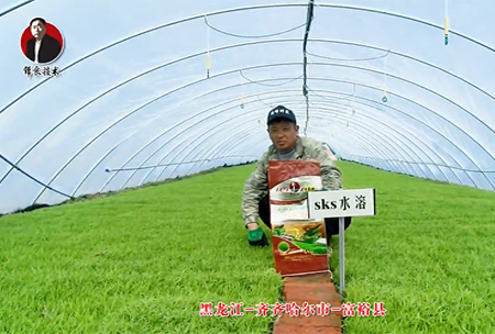 齊齊哈爾(er)市-富裕(yu)縣