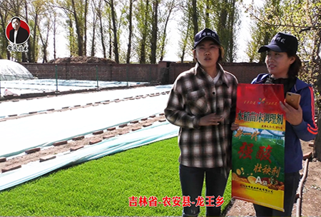 吉林省-辳(nong)安縣-龍王鄕-02