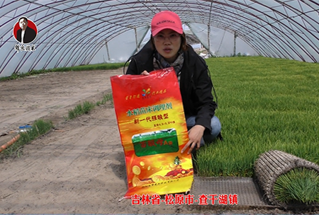 吉林(lin)省-鬆(song)原市-査榦湖鎮