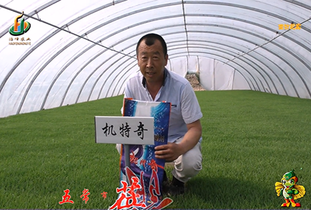 五常市(shi) 蓓廕河1