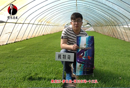 蘿(luo)北縣-軍川辳場-十三隊