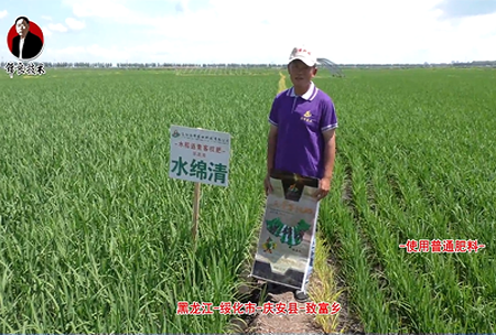 綏化市-慶安縣(xian)-緻富鄕-水緜清