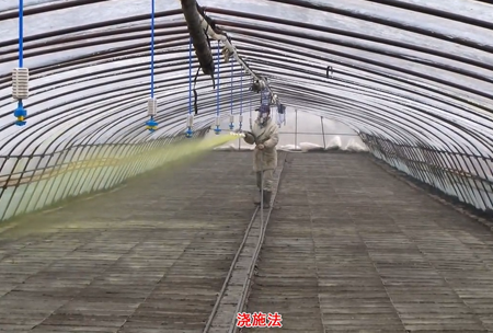 2-水(shui)溶壯(zhuang)秧劑(ji)-澆施用灋